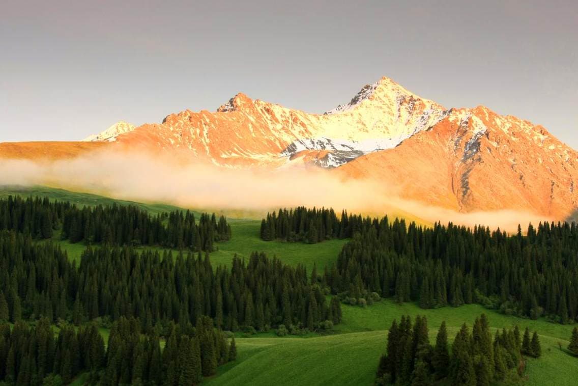 Xinjiang Xinjiang
