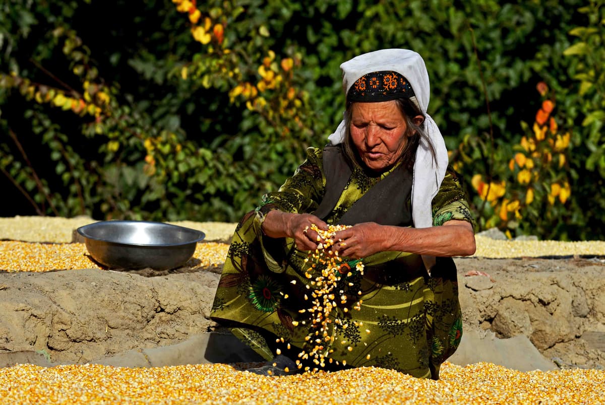 Tajik2.jpg Tajik2.jpg