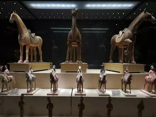 Xingjiang Museum.jpg.jpg.jpg.jpg Xingjiang Museum.jpg.jpg.jpg.jpg