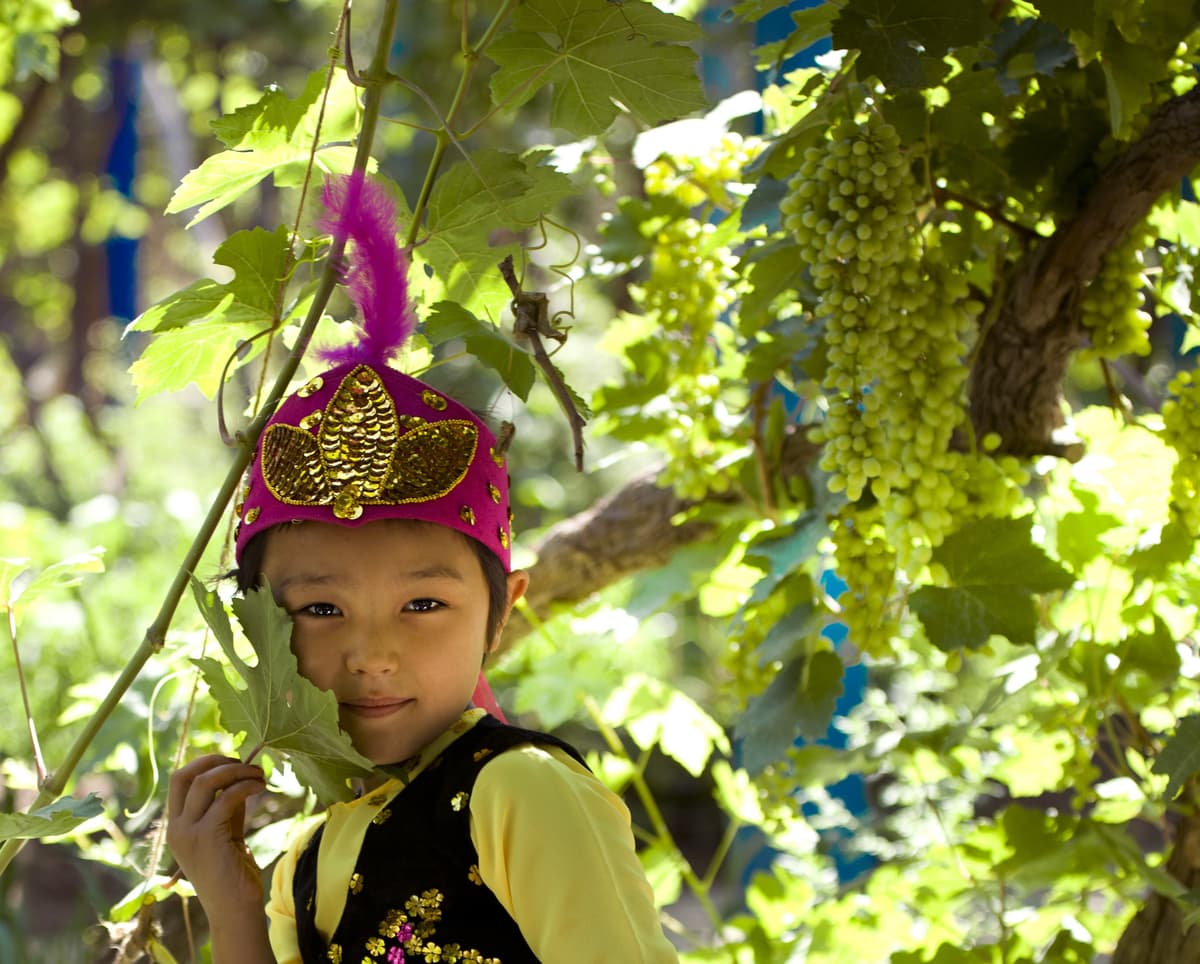 grape-valley-2.jpg grape-valley-2.jpg