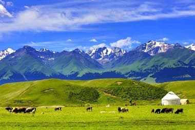 Naraty Grassland Naraty Grassland
