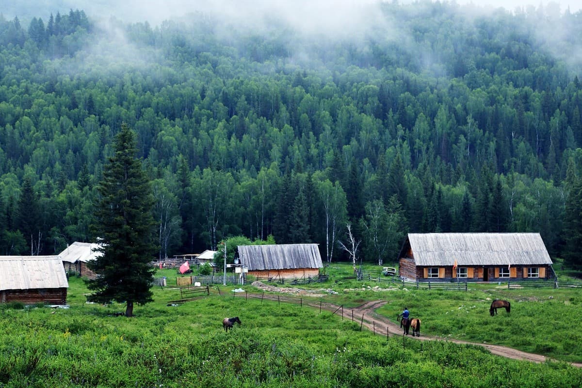 Hemu Village-2 Hemu Village-2