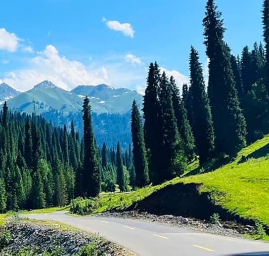 Mohuer Mohuer