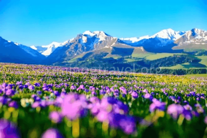 Kalajun Prairie Kalajun Prairie