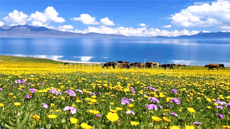 Sayram Lake Sayram Lake
