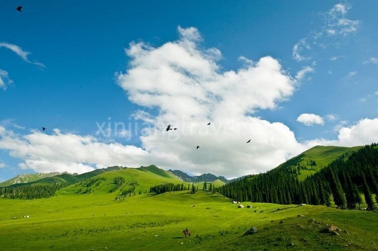 Nanshan Nanshan