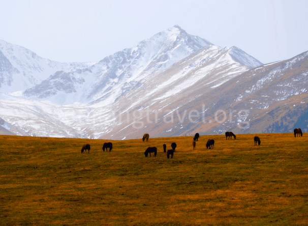 Nalati Grassland Nalati Grassland