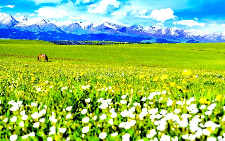Kalajun grassland Kalajun grassland