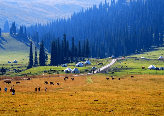 Nalati Grassland Nalati Grassland