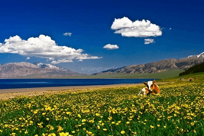 Sayram Lake Sayram Lake