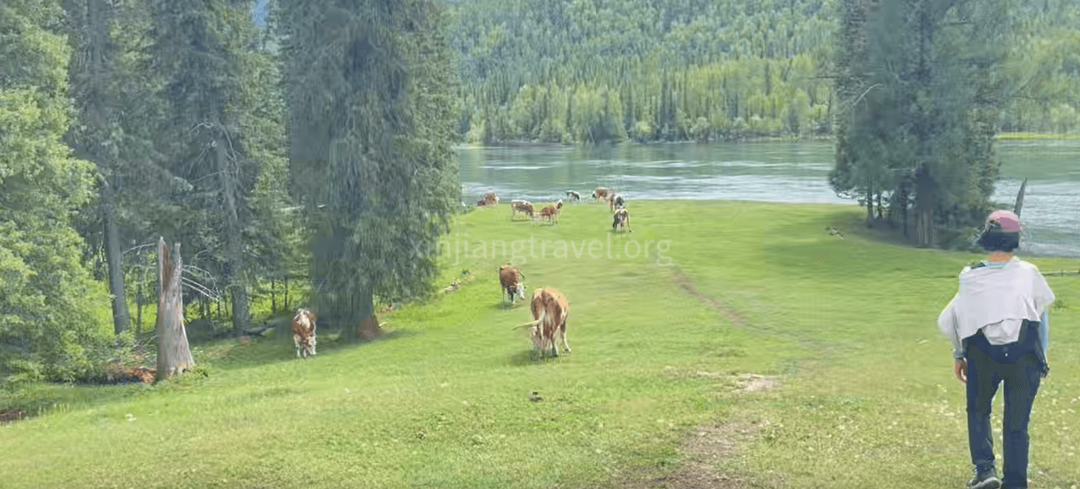 Friends Enjoying A Scenic Walk By The River And Mountains