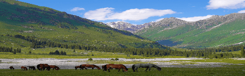 6-days-xinjiang-tangbula-horseback-riding-tour 6-days-xinjiang-tangbula-horseback-riding-tour
