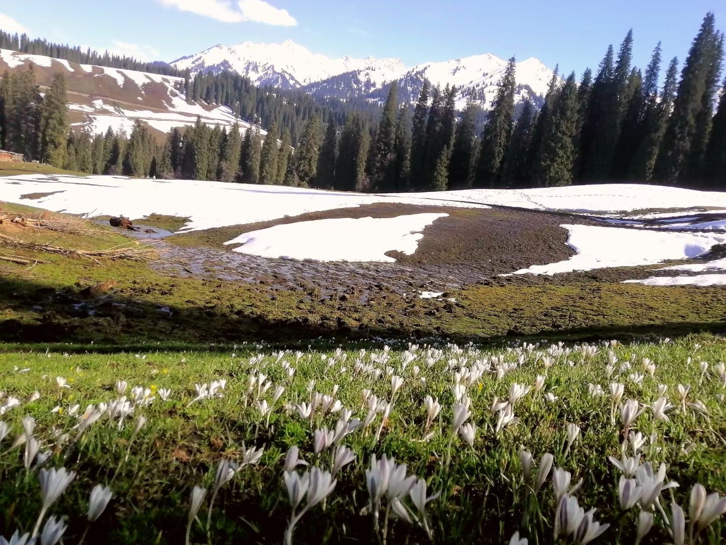 10-days-xinjiang-tour-to-kashgar-and-yili-in-april 10-days-xinjiang-tour-to-kashgar-and-yili-in-april