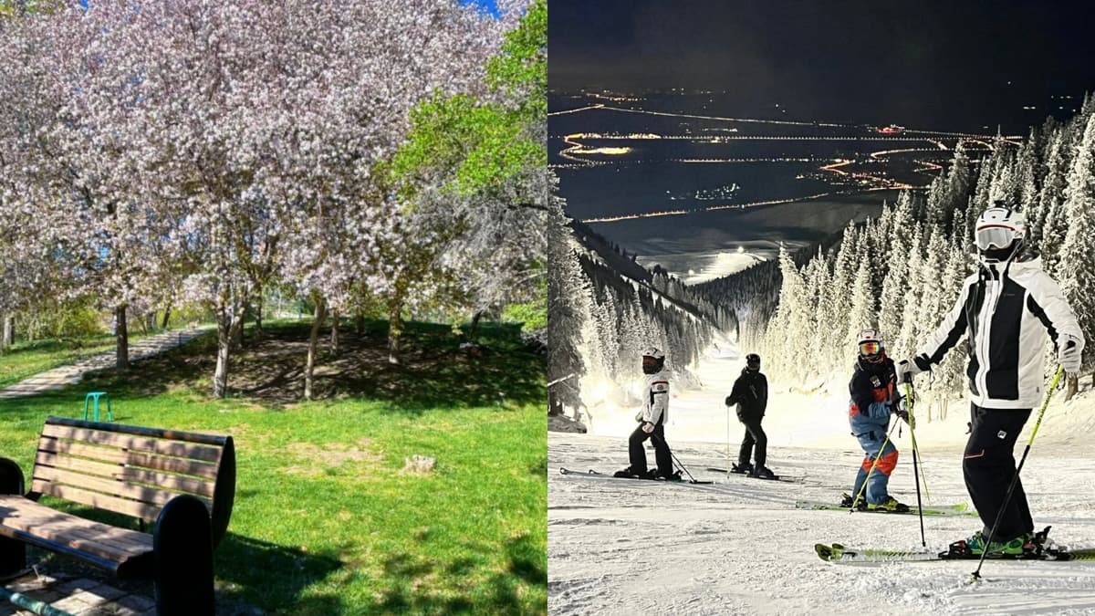 spring-and-winter-in-urumqi.jpg spring-and-winter-in-urumqi.jpg