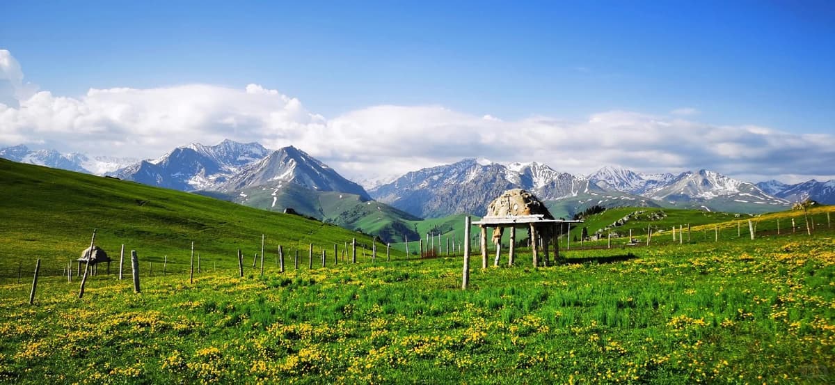 karajun-grassland.jpg karajun-grassland.jpg