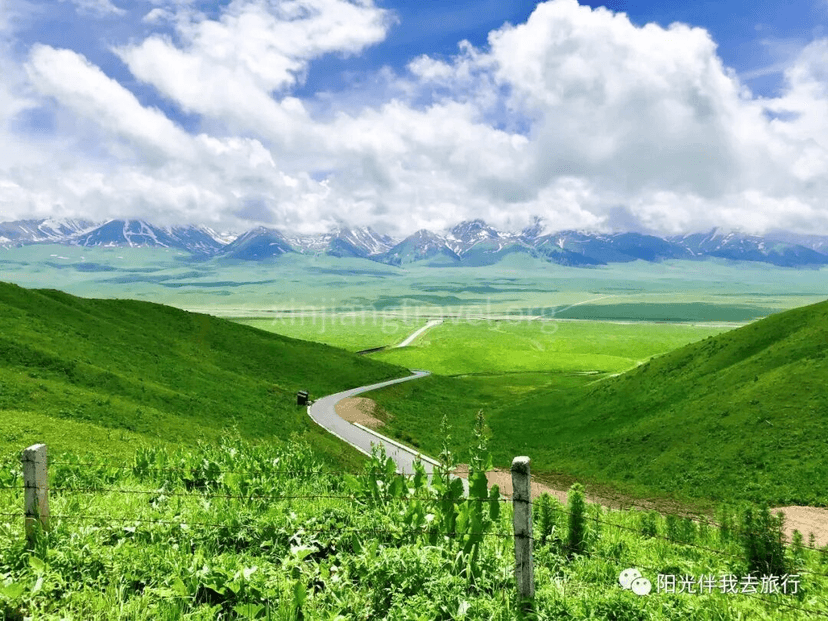 6a62f60d40467.png