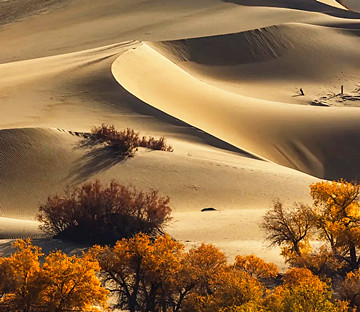 the Taklamakan Desert.jpg