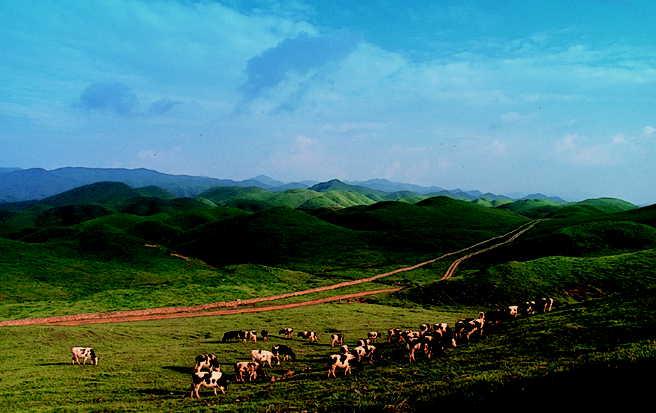 Nanshan-Mountain-Scenic-Spots-2