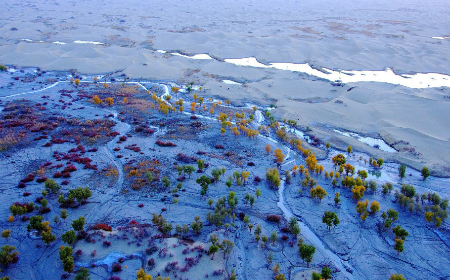 Secenry-of-the-Tarim-River-3