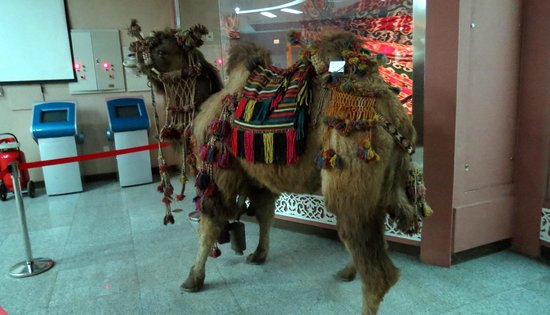 Xinjiang-Museum-3